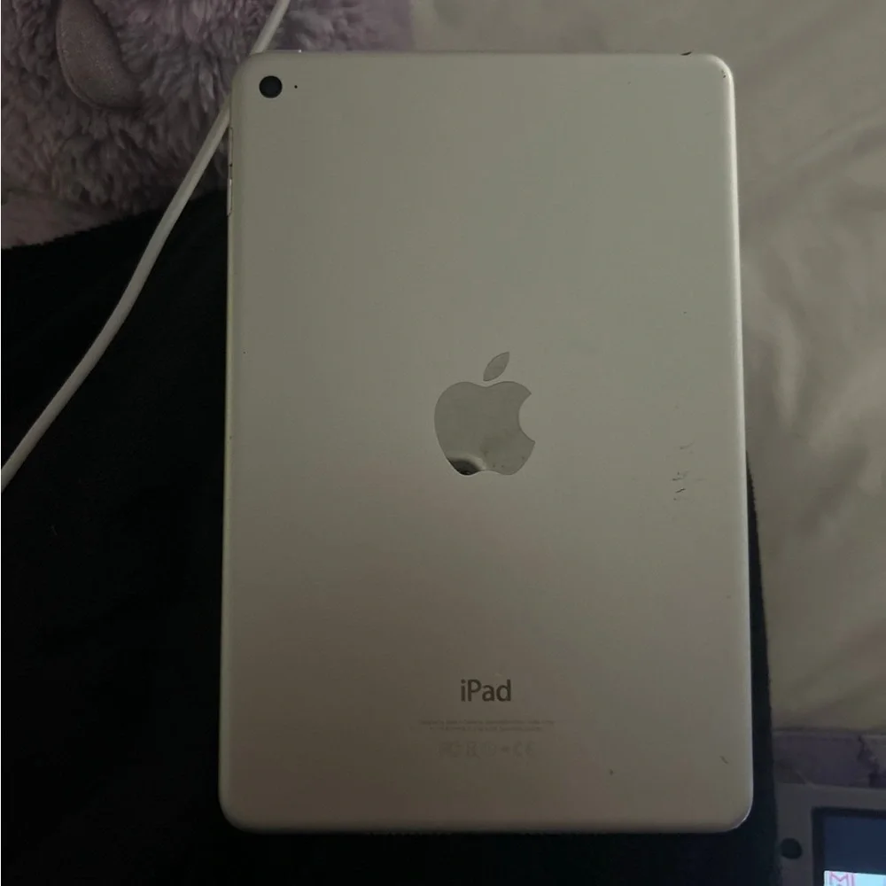 iPad mini 4